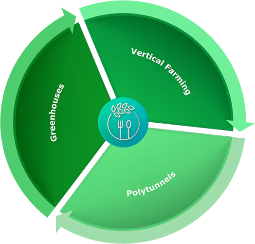 Food Wheel Default